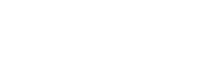 فندقي